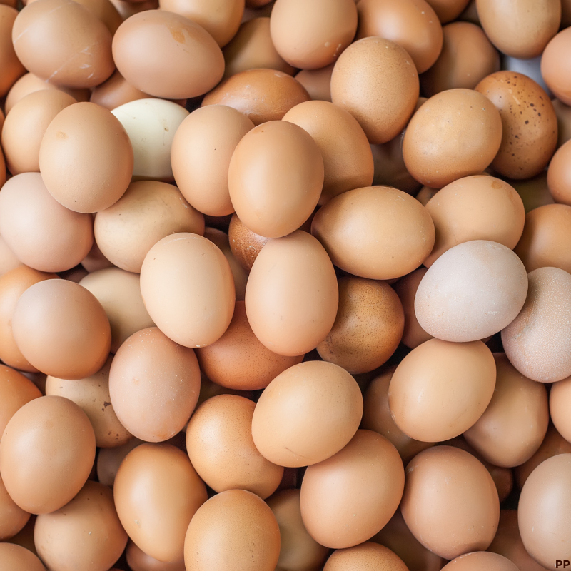 Farm-Fresh Eggs (Crate of 30)